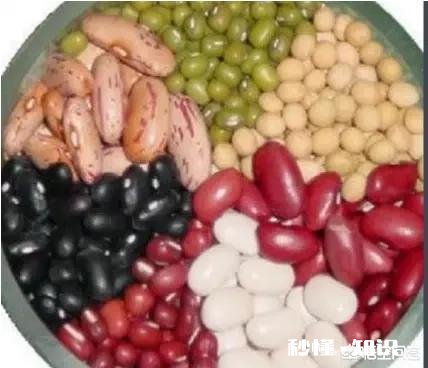 除了黄豆，其它豆类可以成为肥料吗有哪些可以