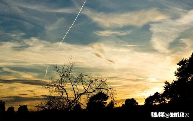 你知道人最困的时候是几点吗