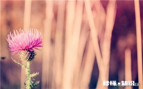 你知道人最困的时候是几点吗