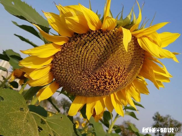 以前是彼此最好的朋友,现在别人只把你当普通朋友,爱搭不理,该怎么办