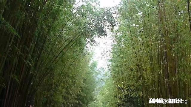 为啥我妈妈总逼着我喝水,这样可能有坏处吗