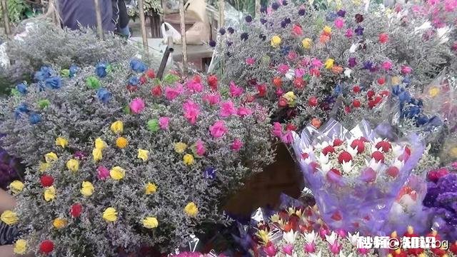 为啥我妈妈总逼着我喝水,这样可能有坏处吗