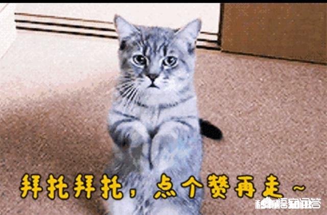 烫头发后发现怀孕了,会不会影响胎儿呢