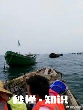 如何看待有的人在小视频里看到在台风“山竹”肆虐下还有外卖小哥在送餐