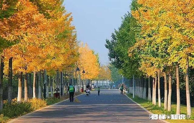 怎样和喜欢炫耀、吹牛的人相处