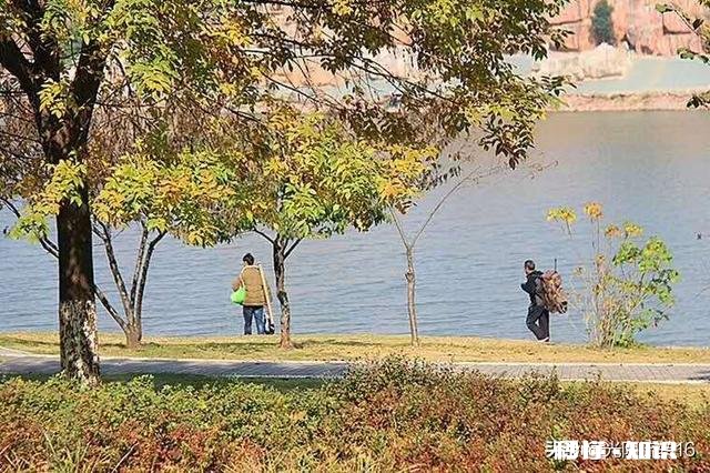 怎样和喜欢炫耀、吹牛的人相处