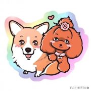 家里养猫，84消毒剂多久用一次