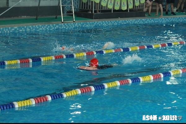 暑假大家都给孩子报了什么兴趣班儿