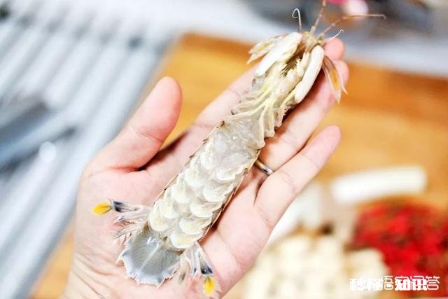 皮皮虾可以炒吗