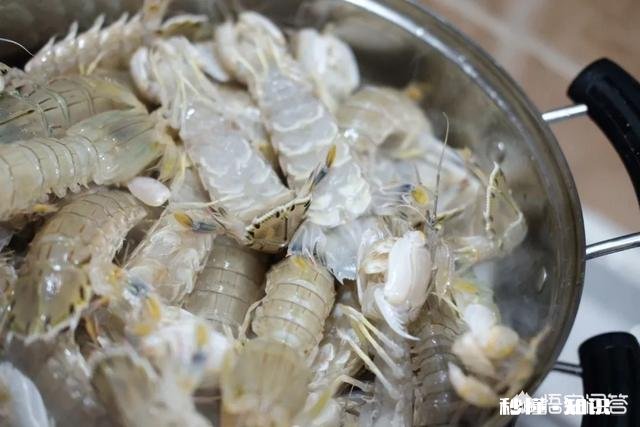 皮皮虾可以炒吗
