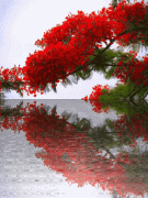 现在“子承父业”，即与父母干相同或相似的职业还好吗