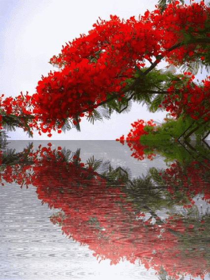 现在“子承父业”,即与父母干相同或相似的职业还好吗