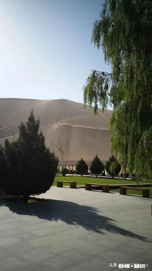 人是可以自我疗愈的吗