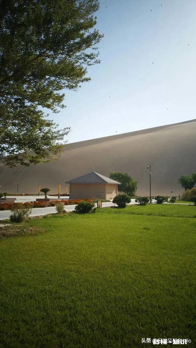 人是可以自我疗愈的吗