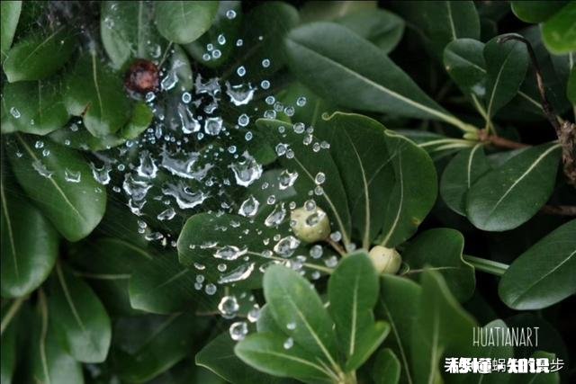 男友既不愿意娶我,又不愿意分手,怎么办