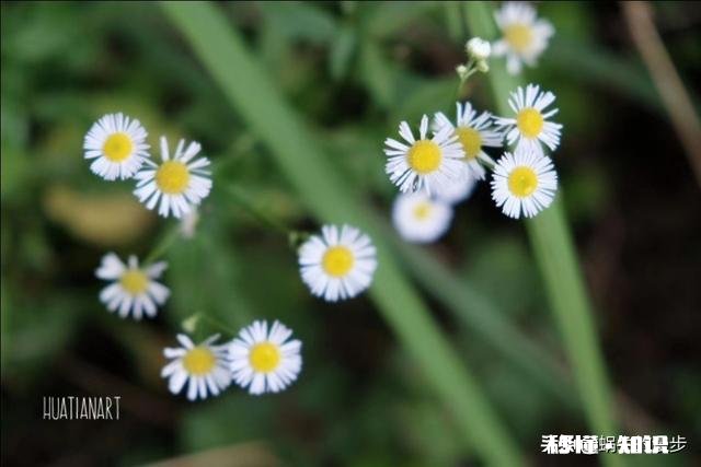 男友既不愿意娶我,又不愿意分手,怎么办