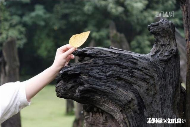 男友既不愿意娶我,又不愿意分手,怎么办