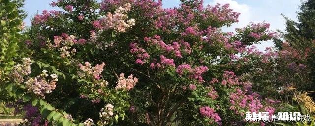 王者荣耀,请问大神狄仁杰,在钟馗钩到你的瞬间,用二技能解掉的概率是多少,个人大概在30%左右