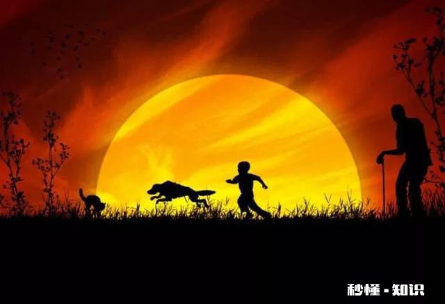 OPPO R15和小米Mix2s相比,哪个拍照效果更好