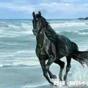 我有好床垫，价格卖的低人家又说质量不好，卖的高又嫌贵，该怎么办好