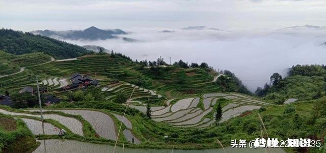 上班马上要迟到了,有个外地老人问路,你会帮助老人而迟到吗