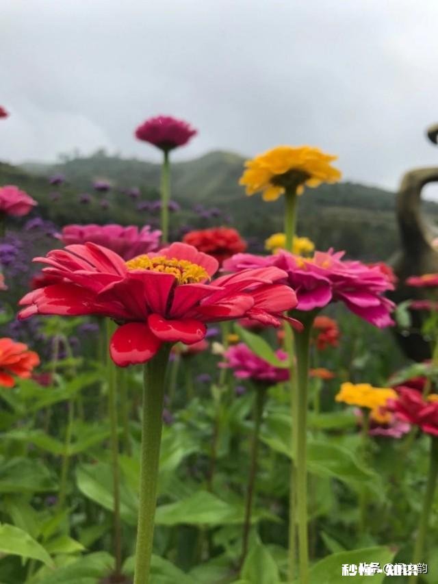 上班马上要迟到了,有个外地老人问路,你会帮助老人而迟到吗