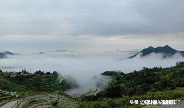 上班马上要迟到了,有个外地老人问路,你会帮助老人而迟到吗