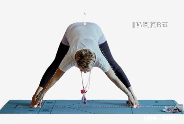 学瑜伽多久可以成为教练