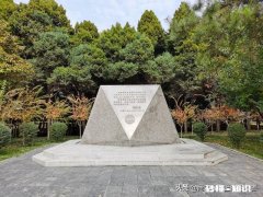 是什么原因导致教育的不均衡应该怎么解决