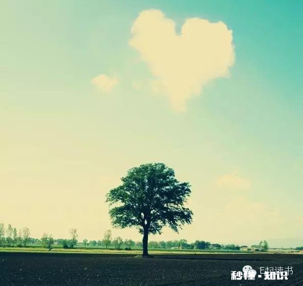 “感情中,女人经济独立,才会更有底气和更多选择”你怎么看