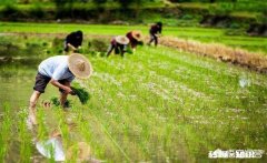 你是否被生活打败依然热爱美食