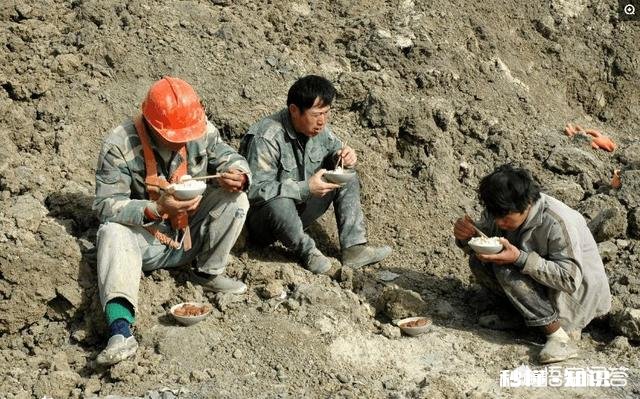 你是否被生活打败依然热爱美食