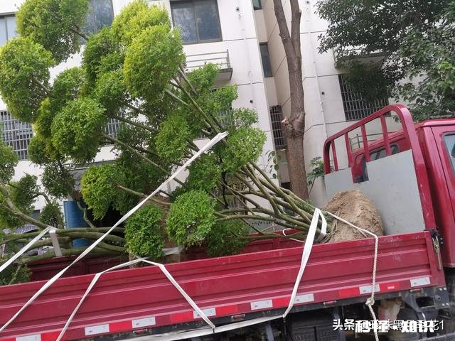 女朋友不上班一个月花一万多,还觉得自己过的很不好,我该怎么办