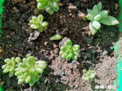 大家都说今年行情不好，但是内心总是忍不住想自己创业，怎么办