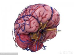 请问改善记忆力的保健品真的管用吗用过的可以说说嘛