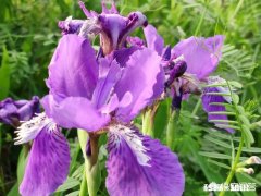 在大学的人生规划中爱情具有怎样的价值意义