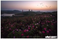 国庆出游人好多，但是又想出去走走，怎么办