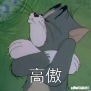 捡来的小鸟不能飞了，是怎么回事