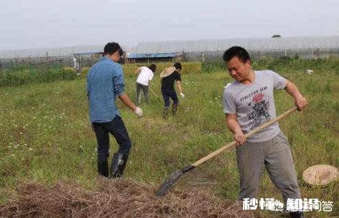 农村有些三十多岁的男孩为什么找不到自己的另一半