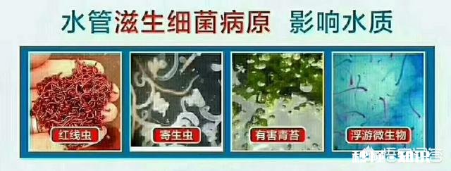 二十五六岁的女孩想自己做点小生意，做什么比较好