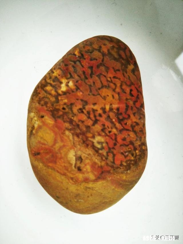 如何用一句话概括你结缘头条以来的感受