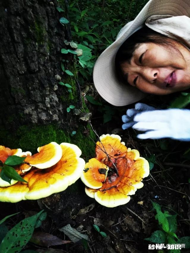 如何用一句话概括你结缘头条以来的感受