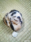 如何用一句话概括你结缘头条以来的感受