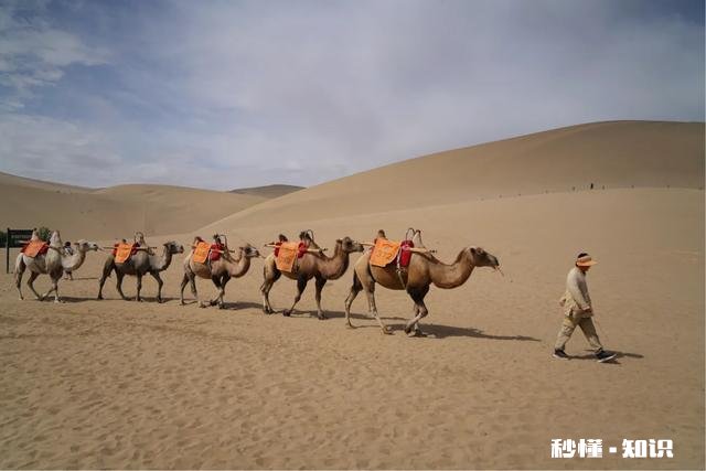 去甘肃旅游的话,有什么非去不可的地方吗