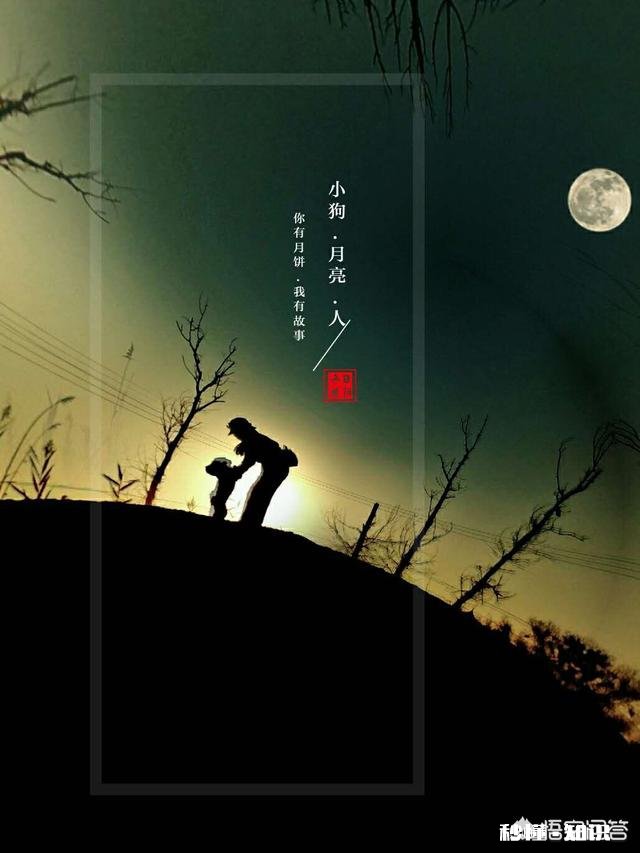 来来来，晒晒你中秋美美的照片，让全国人民一起欣赏欣赏