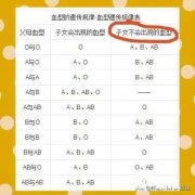 爸爸是A型血儿子是B型血孩子是亲生的吗为什么