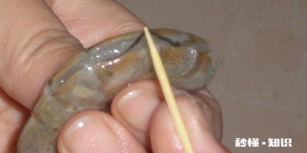虾背里的虾线，是不是脏东西能吃吗