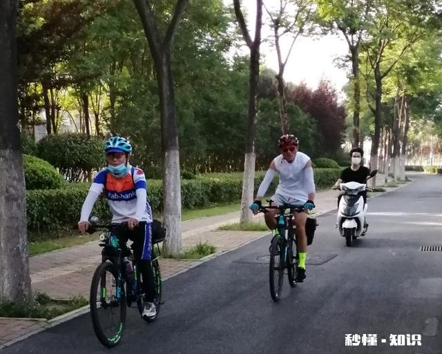 老年人喜欢什么样的活动