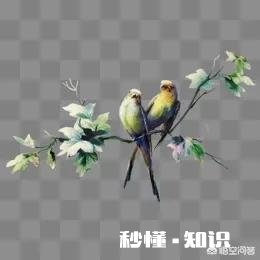 放弃一个自己深爱的人，真的会祝她幸福吗看到她幸福不会心酸吗