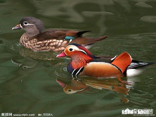 放弃一个自己深爱的人，真的会祝她幸福吗看到她幸福不会心酸吗